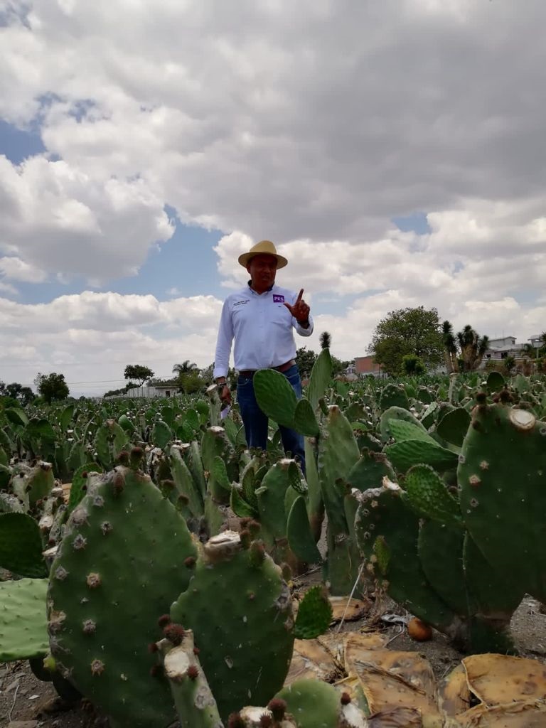 metro-damian-pag-web-ya-2-jpg